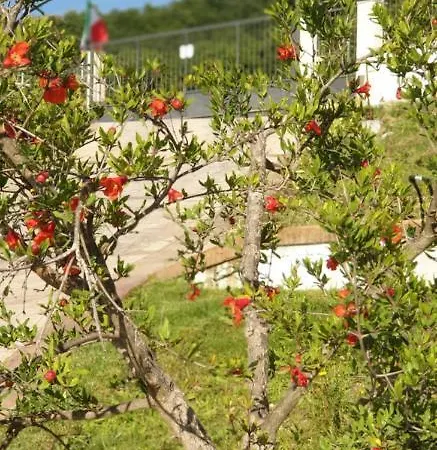 Stella Del Cilento